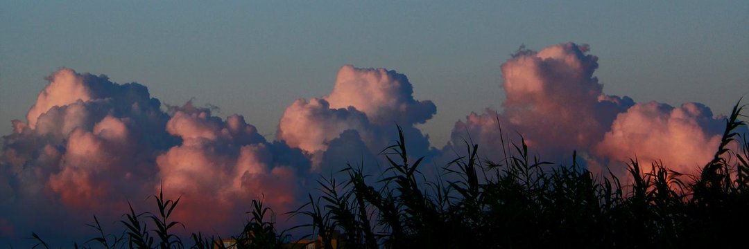 David Rod ⚡ banner