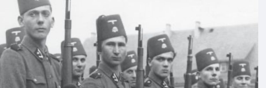 Truecel_Crusader banner