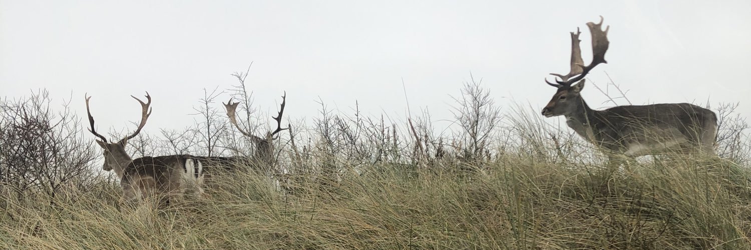 leinmaxemsam's profile banner image