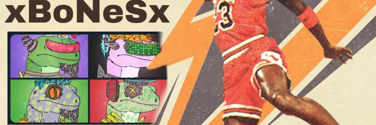 xBoNeSx's banner