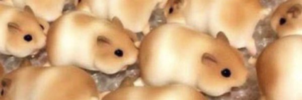 bpki__ Profile Banner