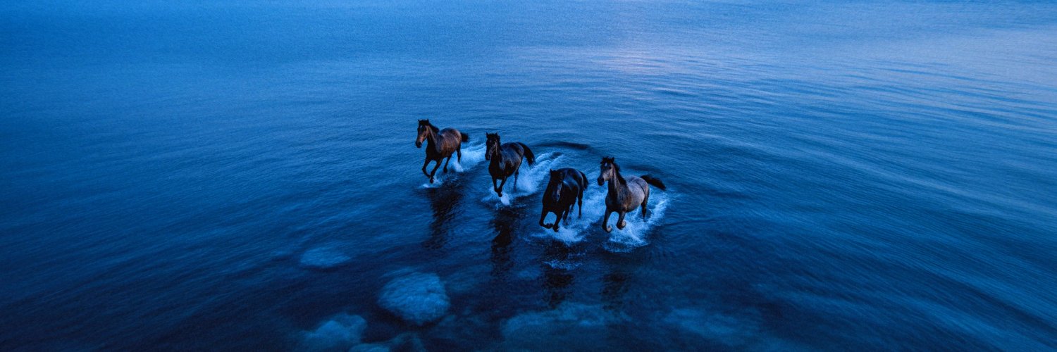 Filip Filkovic Philatz banner