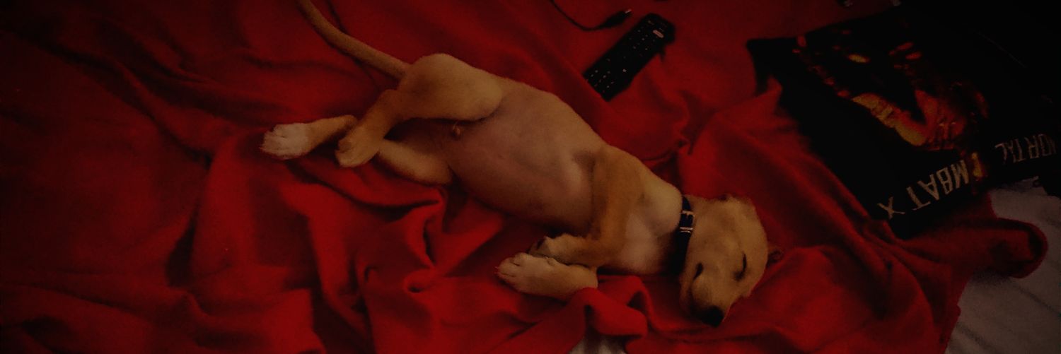 brian esquivel banner