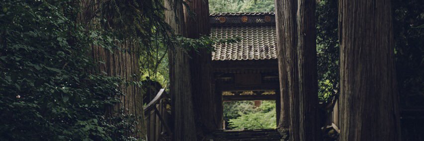 tametanuki