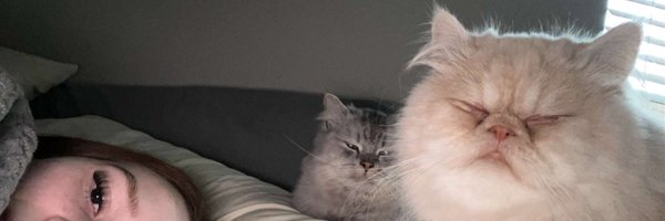 harlleylovee Profile Banner