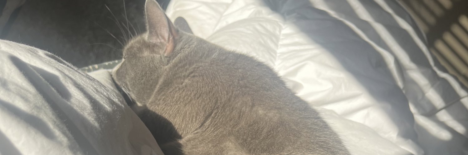 delicatelytnted's profile banner image