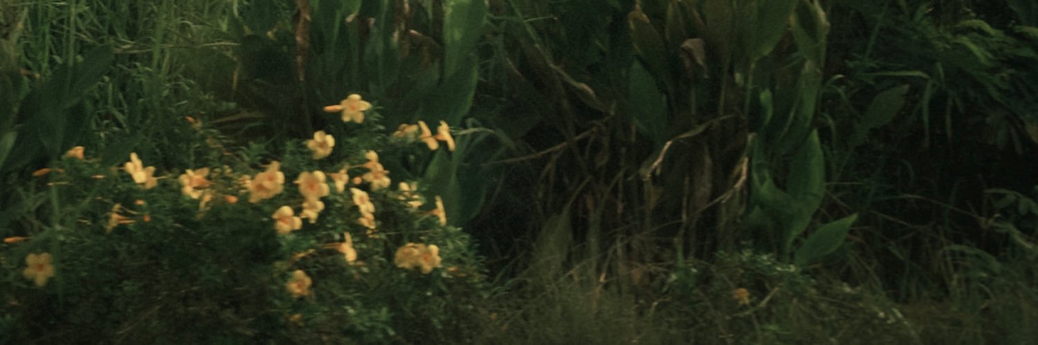 y_itcm0's profile banner image