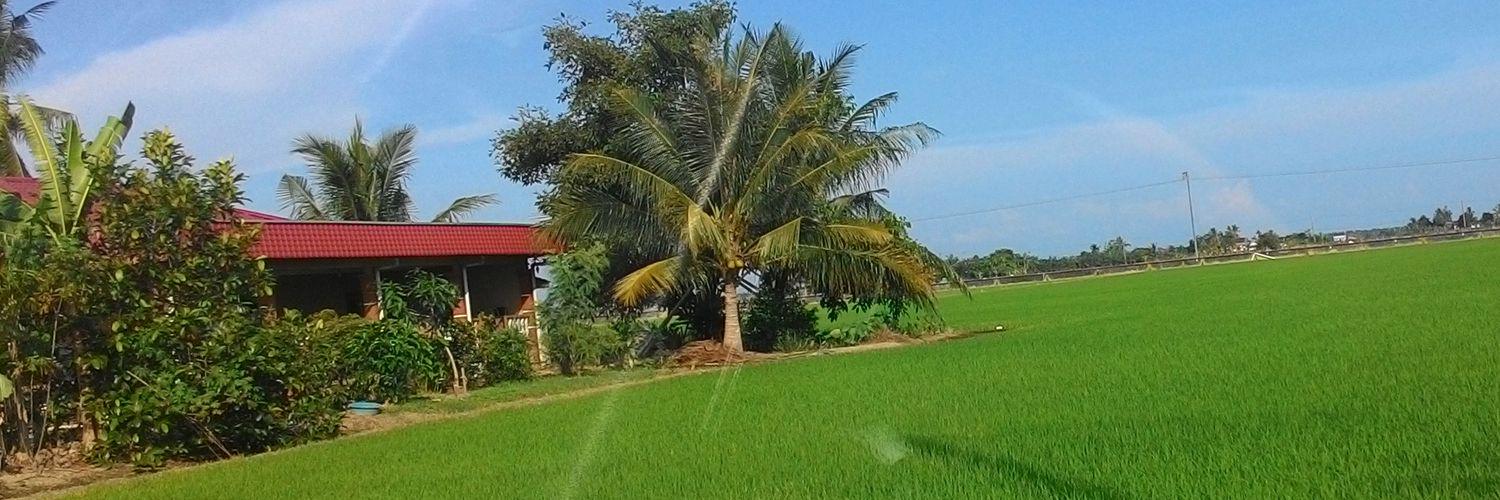 bidadariberiman's profile banner image
