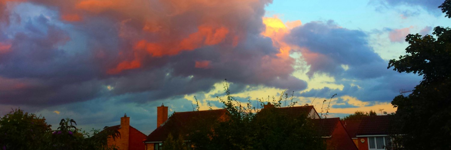 Yep my name is Guy 😊🌸🥕 banner