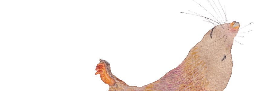 yuimop's profile banner image