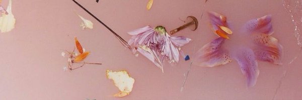 Amprmz Profile Banner