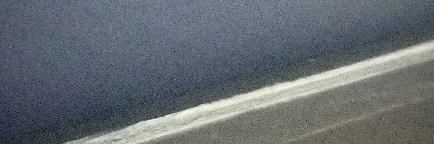 Coral banner