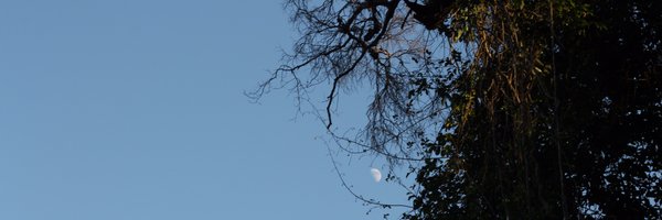 peoplenotpixels Profile Banner