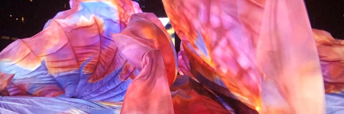 mariacanndida's profile banner image