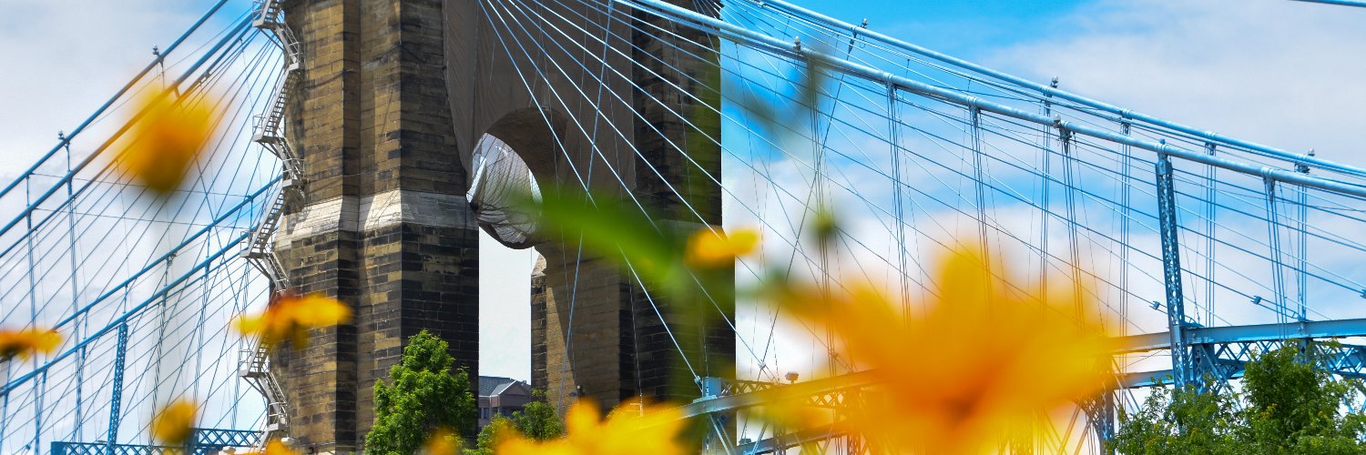 Allison Brinkman Schroeder banner