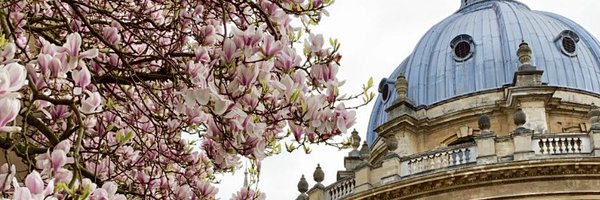 AtazhanovaT Profile Banner