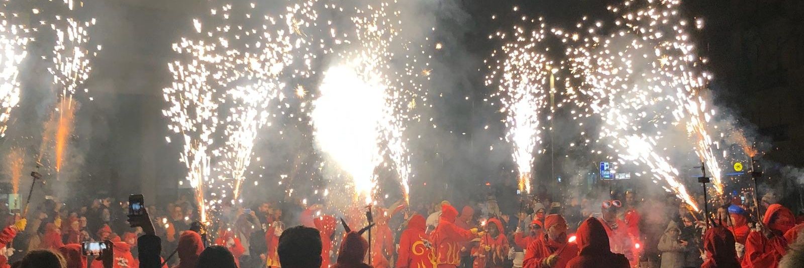 Trapelles de Sant Antoni banner