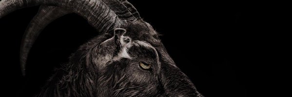 CreaturelyFear Profile Banner
