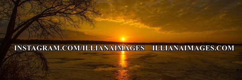 illianaimages's profile banner image