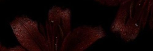 مجنونگر banner