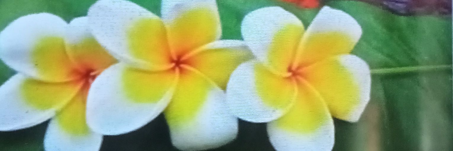 Rupkotha1234's profile banner image