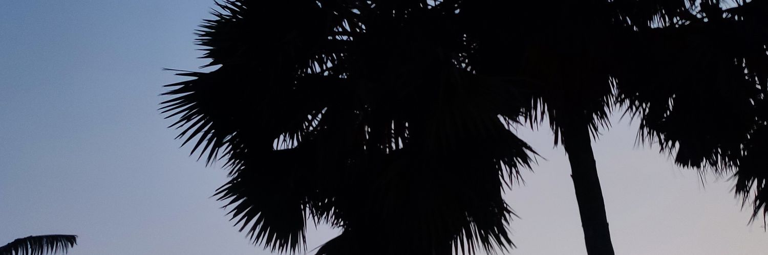 shuvqSS's profile banner image