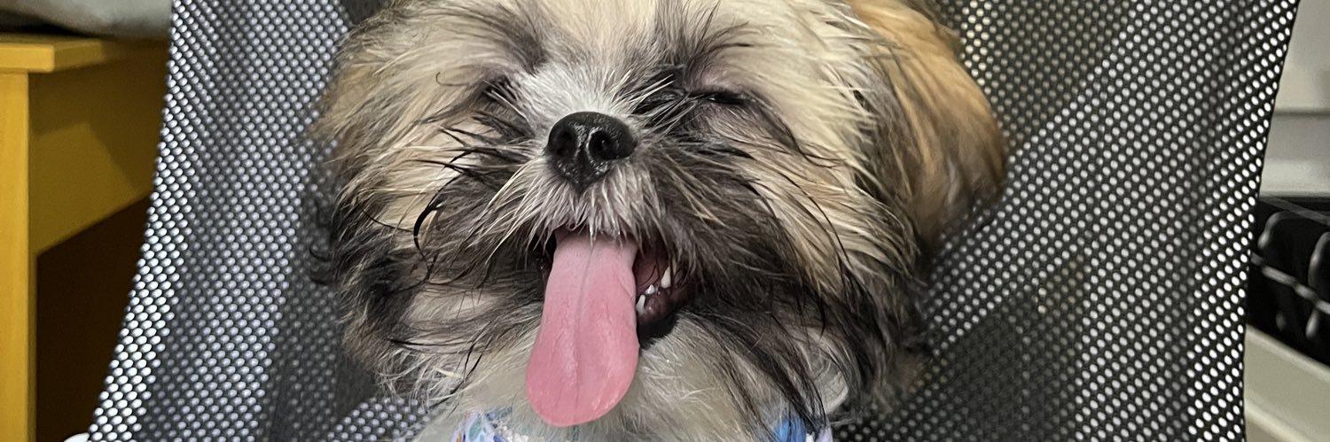 SupahGish's profile banner image