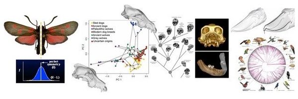 CCEM_ucph Profile Banner