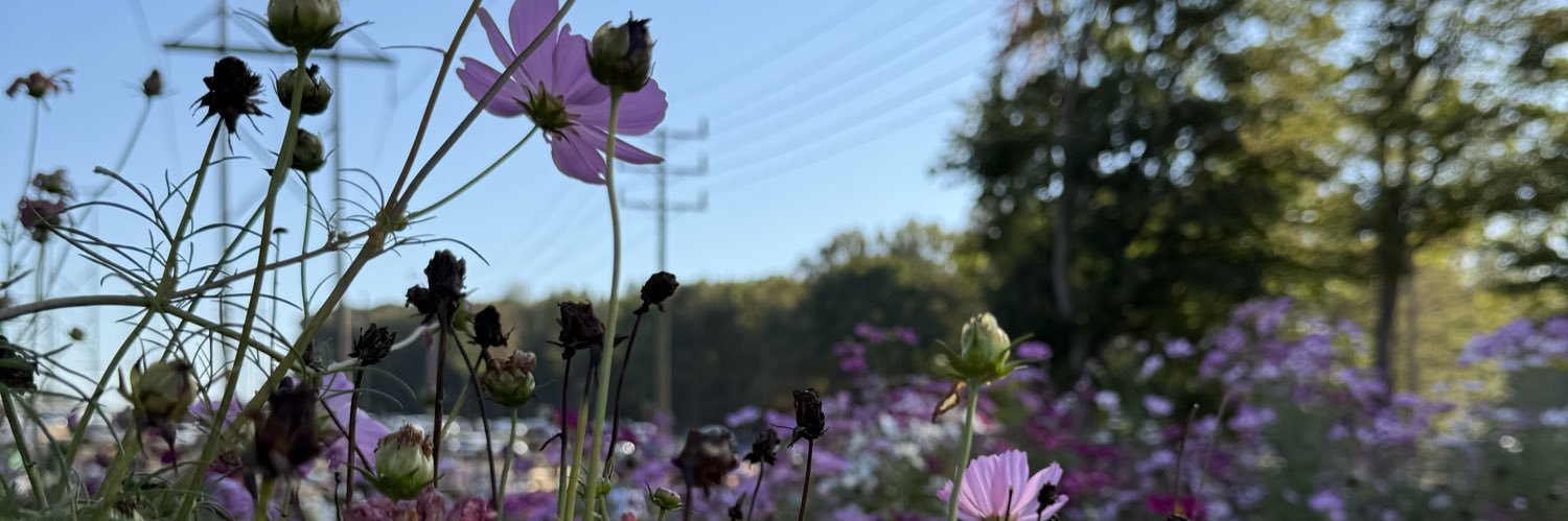 buttmanphl's profile banner image