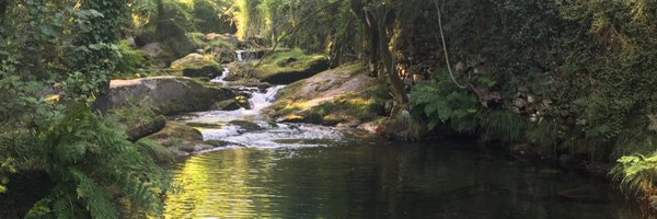 carlton858 Profile Banner