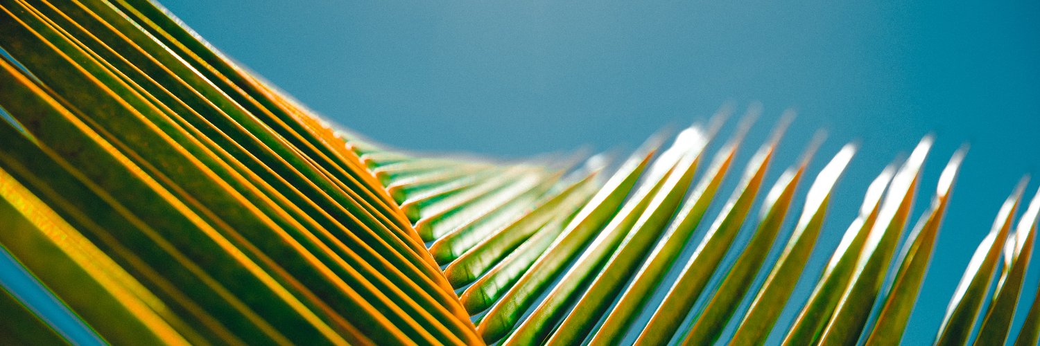 OFF ON FRIDAY banner