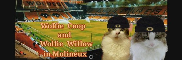 CuteBoyCooper Profile Banner