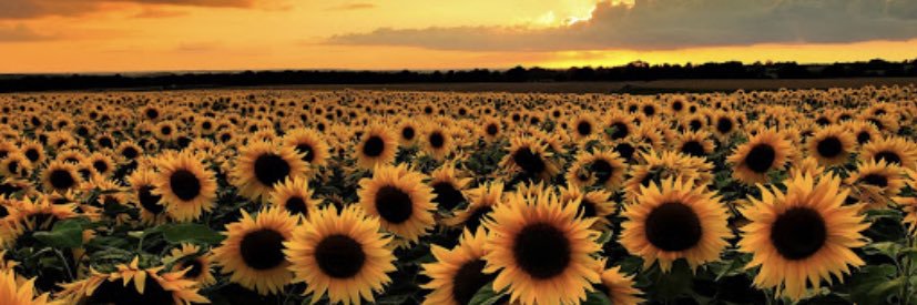 Hayley_Plummer's profile banner image