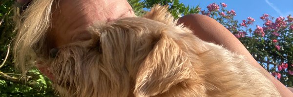 HenriMerriam Profile Banner