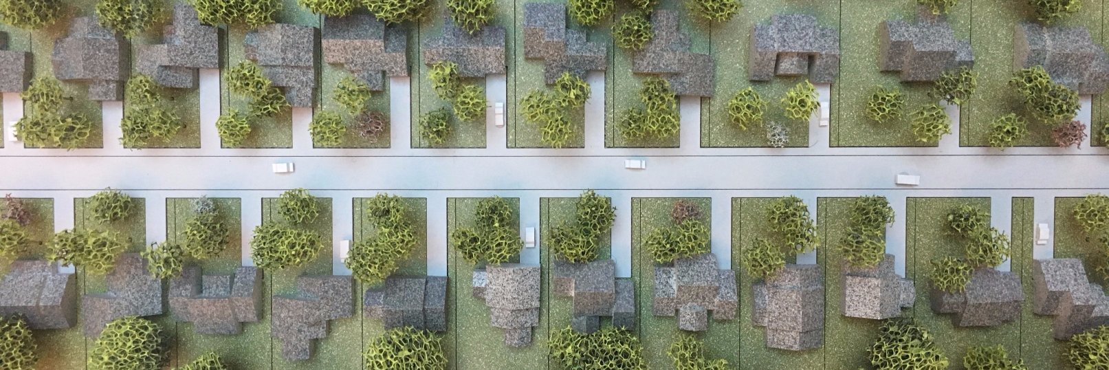 Nancy Sarnoff banner