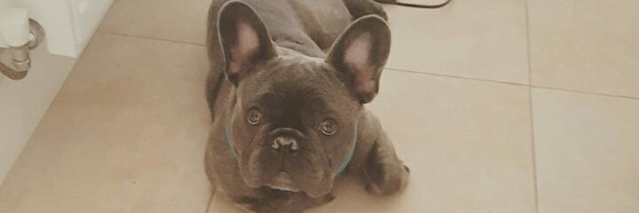 mattysj211's profile banner image