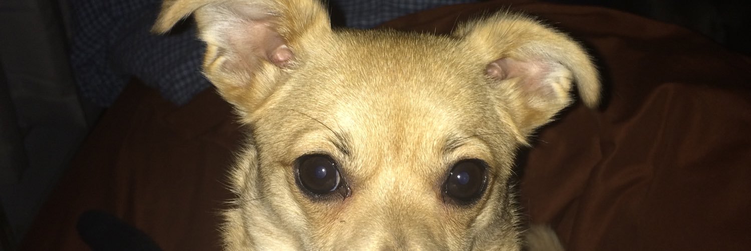 sadsadmonkey's profile banner image