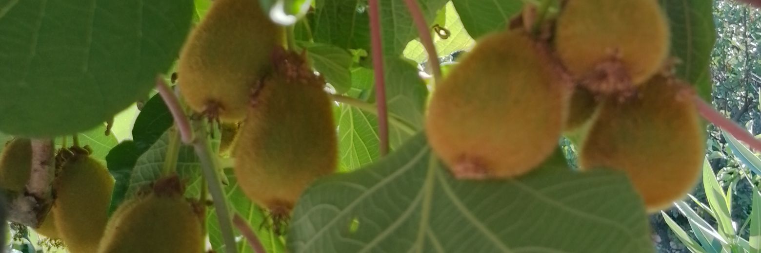 📢Ultimate FuckUp📢 banner