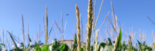 maria_varveri Profile Banner