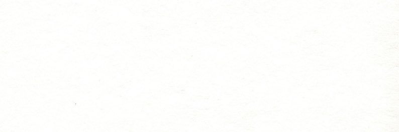 neverpost banner