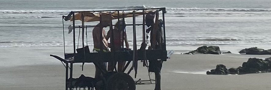 Marie Bizarre banner