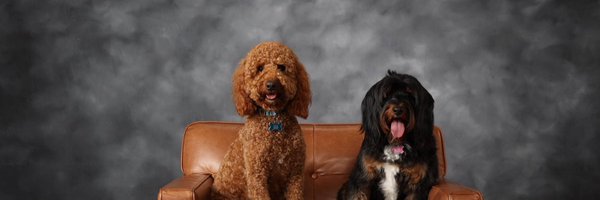 jon_balcazar Profile Banner