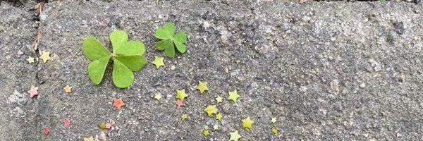 choobis_best Profile Banner
