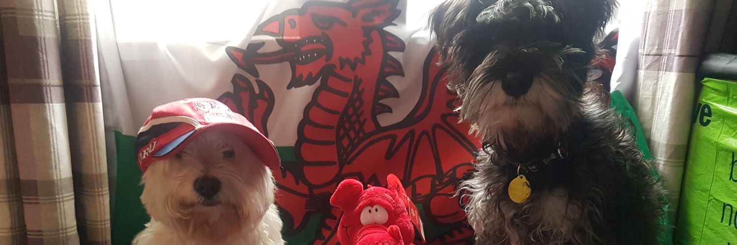 thatwelshynerd's profile banner image