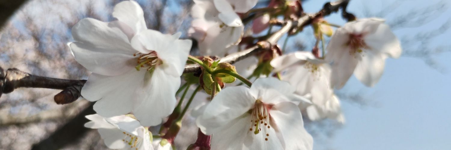 越野(ｺｼﾉ)▲ banner