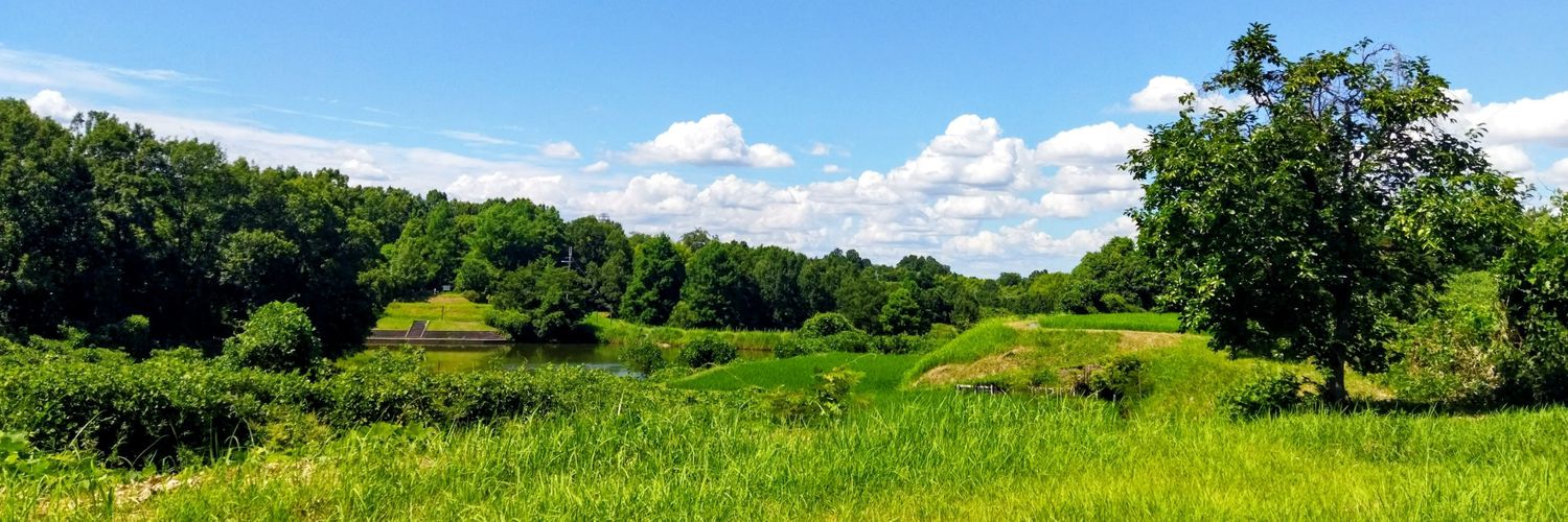 ふうりん🎶 banner