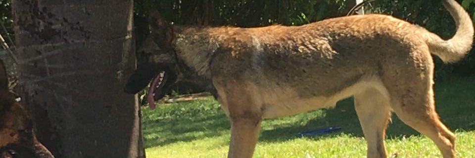 morepanetta's profile banner image