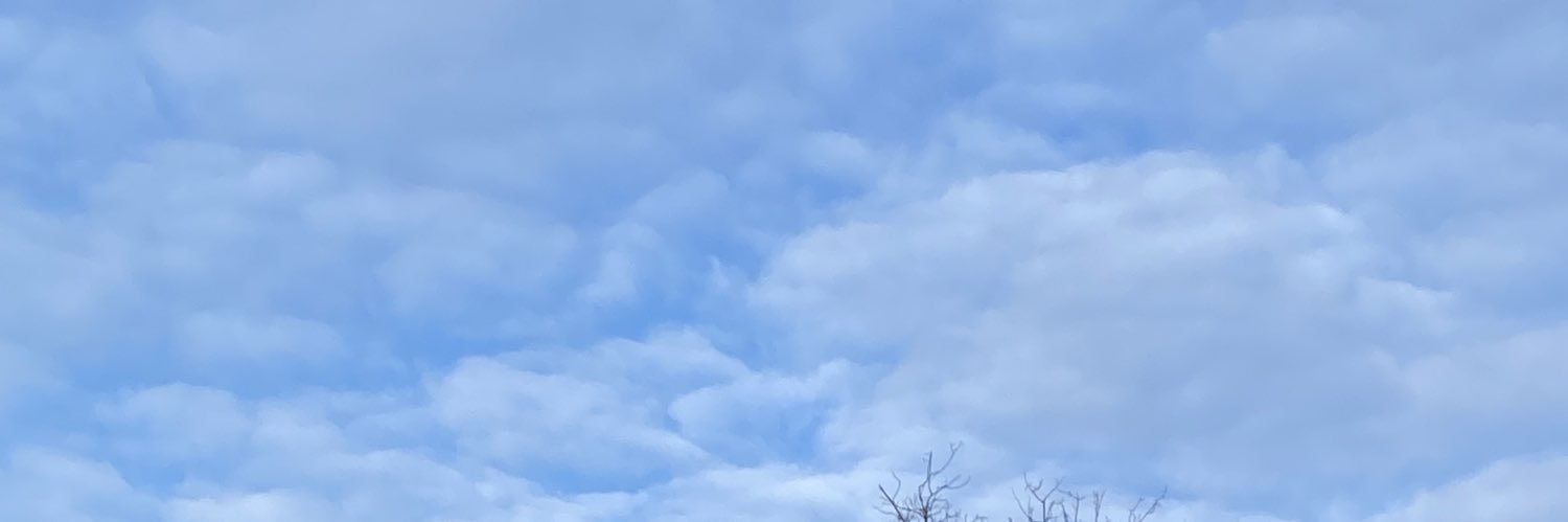 chloevni's profile banner image