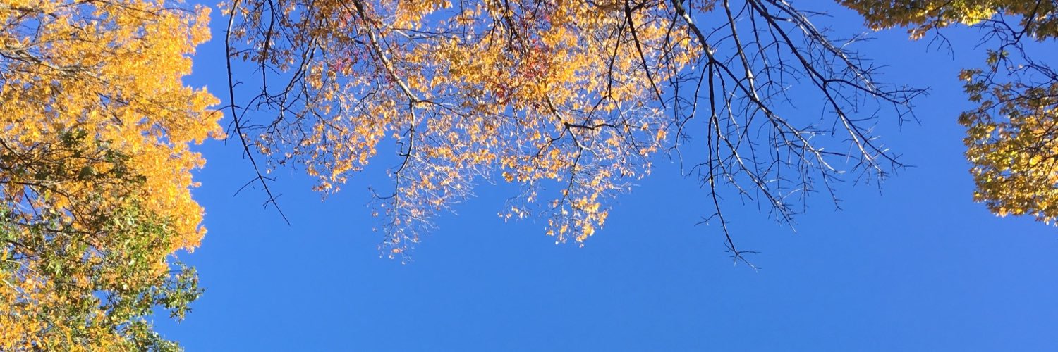 Brenton O'Callaghan banner