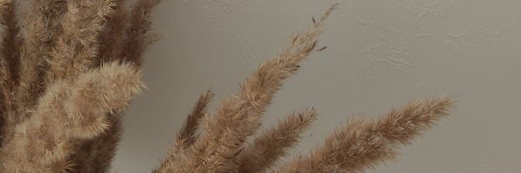 NohaOthmann's profile banner image
